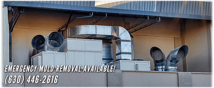 Air Duct Mold Removal in Addison IL