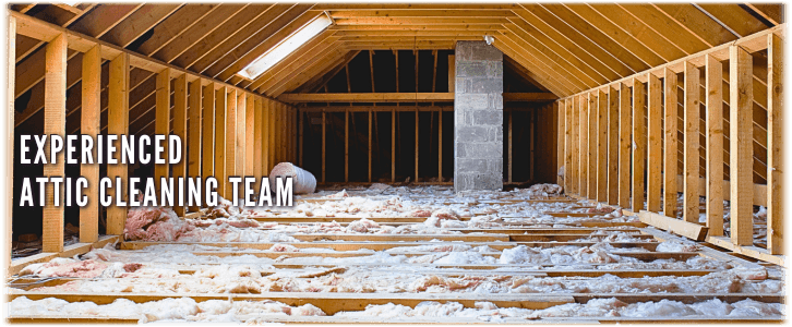Attic Cleaning Addison IL